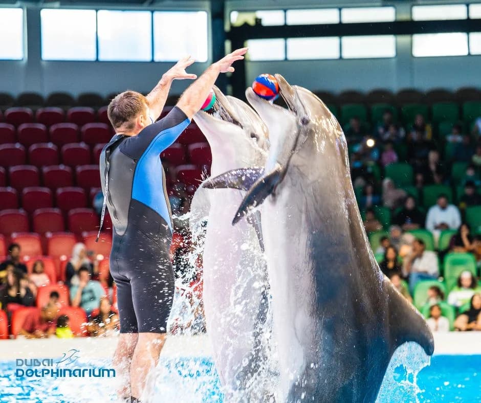 Dubai Dolphinarium