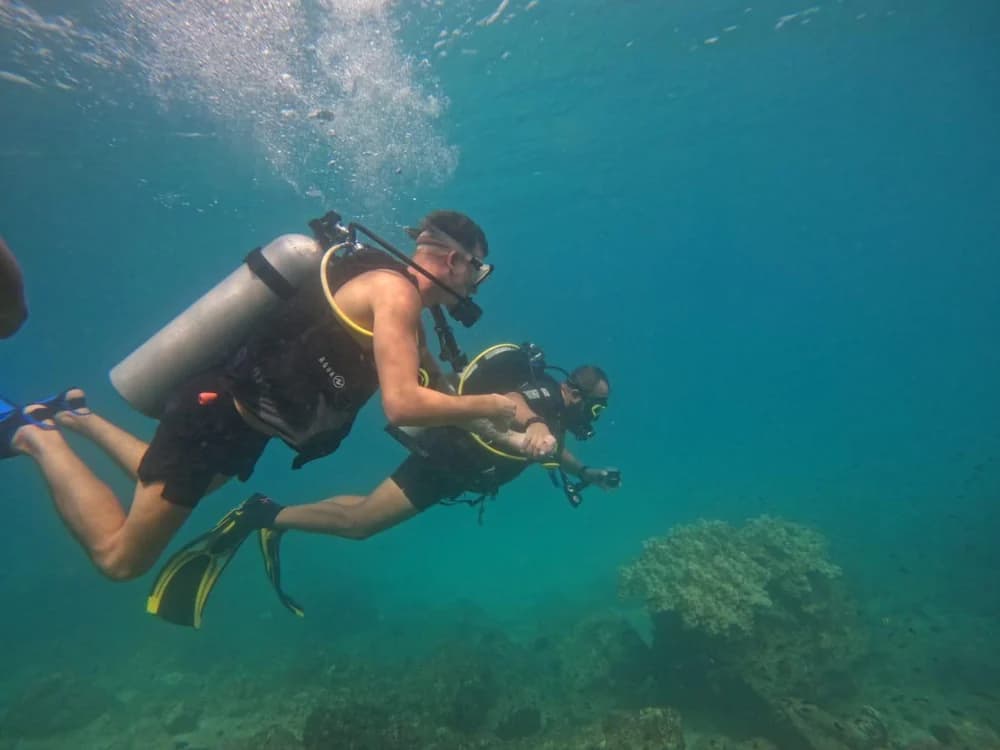 Paradise Blue Diving & Snorkeling Club