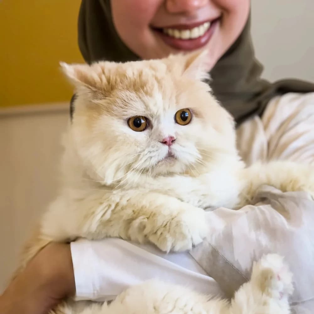 Afdhal Veterinary Clinic